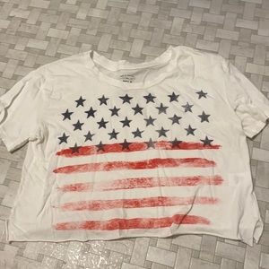 USA 4th of July cropped tee